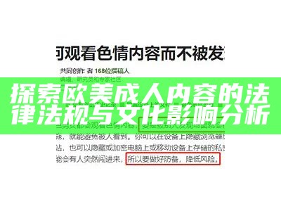 探索欧美成人内容的法律法规与文化影响研究