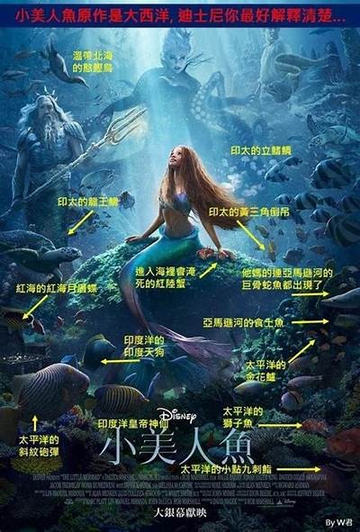 免费观看《小美人鱼1》国语版，带您畅游美丽海洋世界！